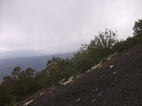 nte Rinatu-20110615 101